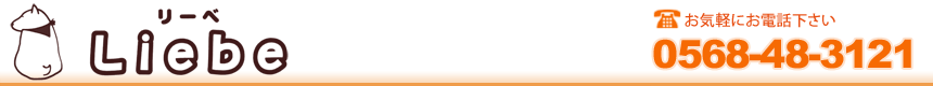 Libe��[�ׁ@0568-48-3121