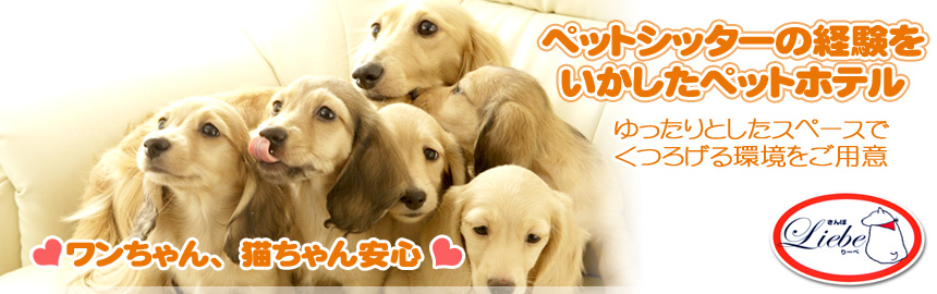 �y�b�g�V�b�^�[�̌o�������������y�b�g�z�e��